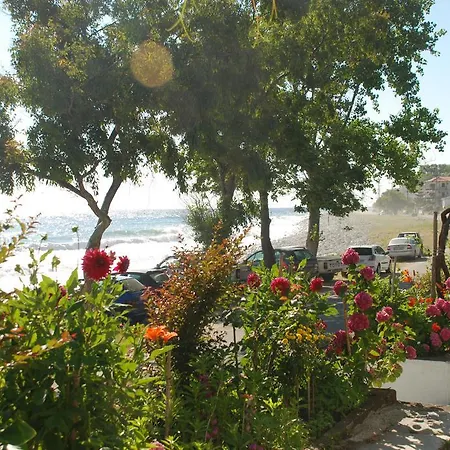 Cleopatra 2* Chorefton